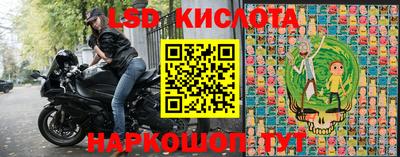 дживик Гай
