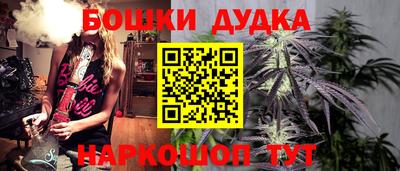 дживик Гай
